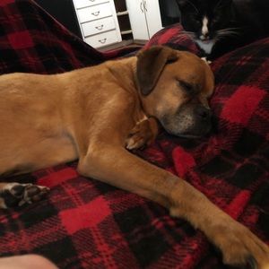 Meet your Posher, Travis